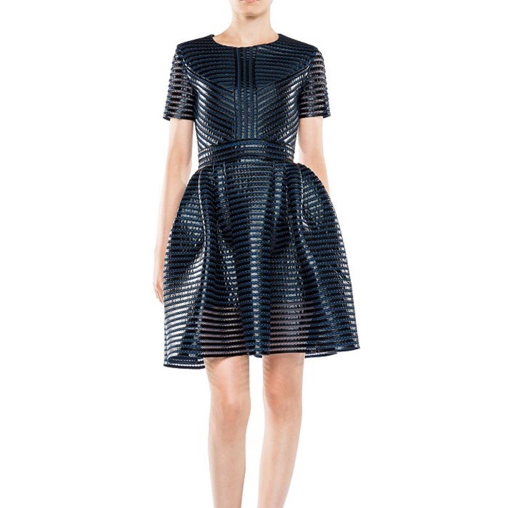 Maje Roybridge Striped Mesh Dress
